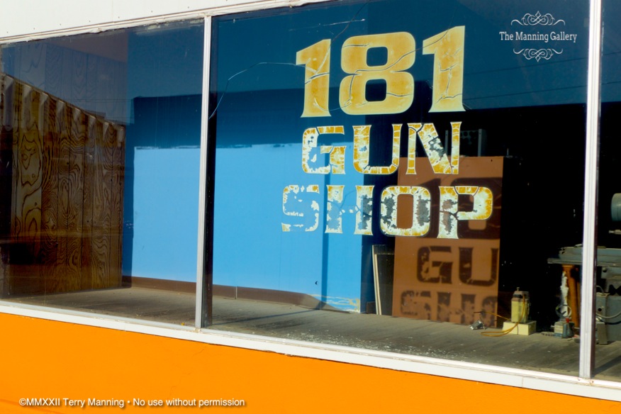 181 GUN SHOP