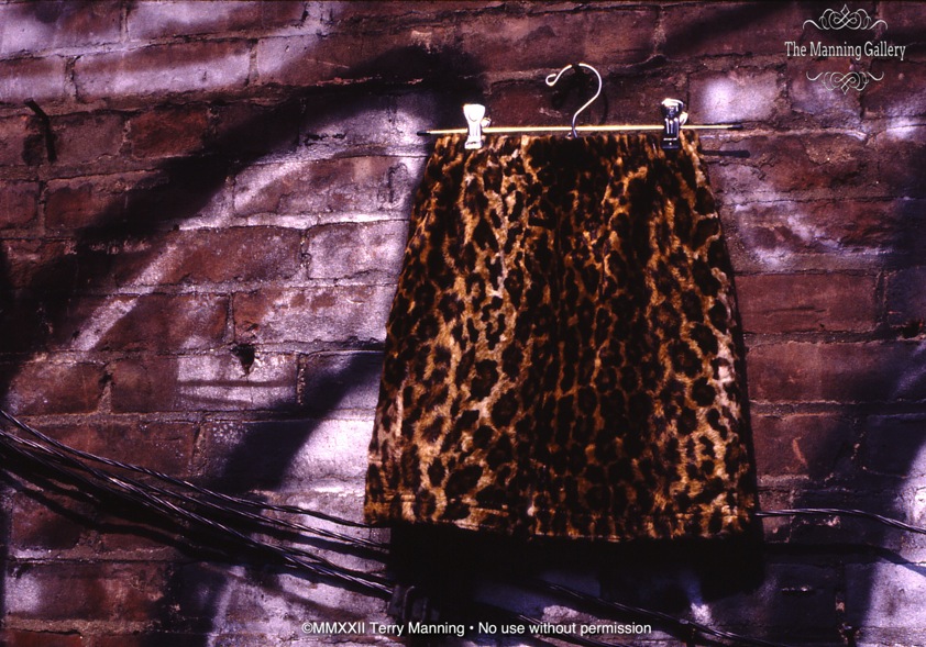 THE SKIRT
