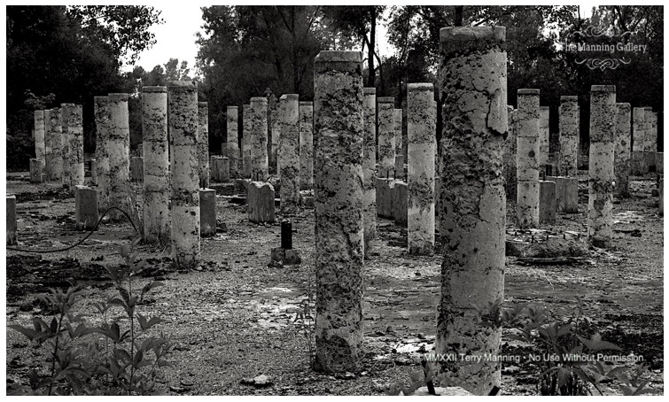 Concrete Columns 67