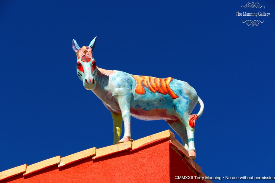 BURRO ON A BUILDING