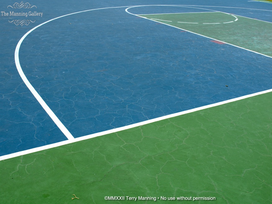THE COURT